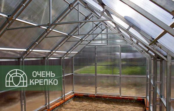 Теплица Алтайская сказка фото 2